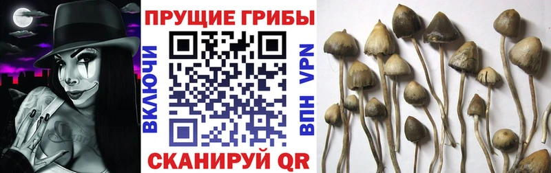 наркота  Ялта  мега маркетплейс  Псилоцибиновые грибы MAGIC MUSHROOMS 