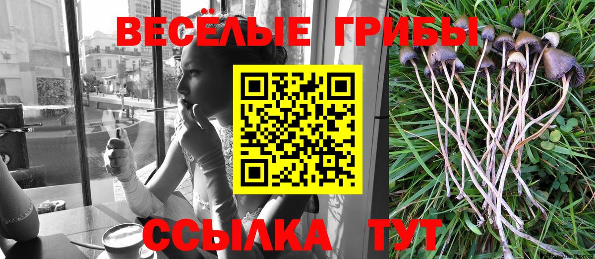 Галлюциногенные грибы GOLDEN TEACHER Ялта