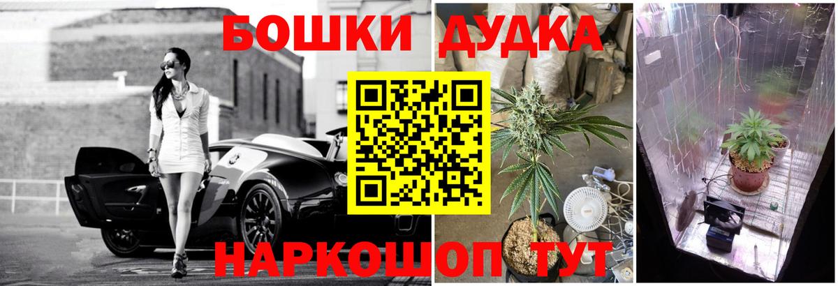 Каннабис Amnesia  Бошки Шишки Amnesia  Шишки марихуана план  Ялта  Вход с VPN 